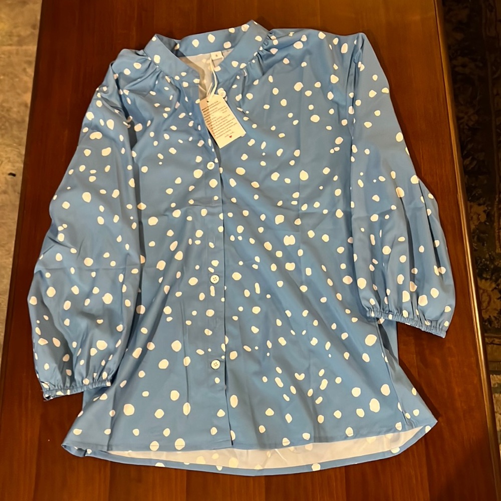 Light Blue Polkadot blouse